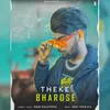 About Theke Bharose Song